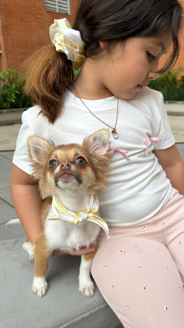 30554 DUO MASCOTA