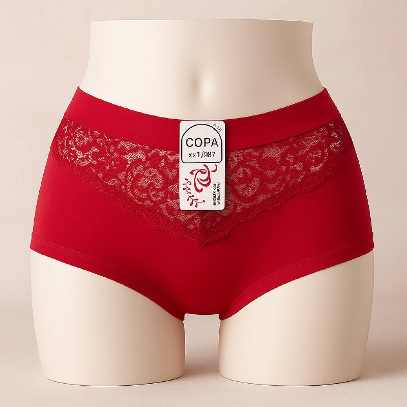 31082-CACHETERO BOXER DAMA RITUAL ENCAJE X12